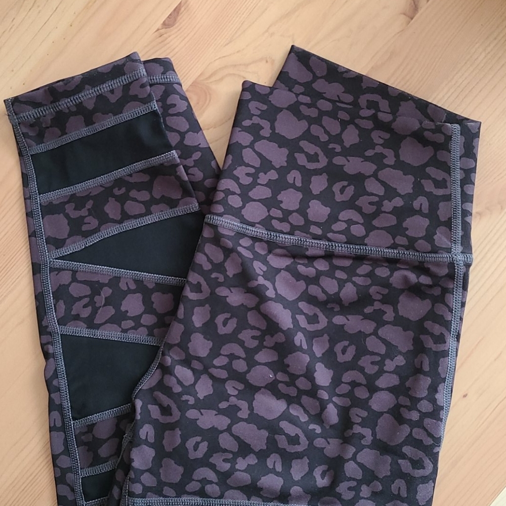 Til You Collapse- Mesh Front Leopard Leggings